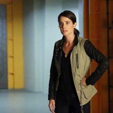 Agents of S.H.I.E.L.D.: Cobie Smulders in Nothing Personal, episodio della prima stagione