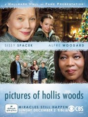 La locandina di Pictures of Hollis Woods