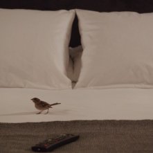 Bird People: una scena del film