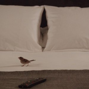 Bird People: una scena del film
