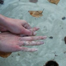 Goodbye to language: mani di donna nell'acqua in una scena del film