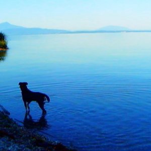 Goodbye to language: una suggestiva immagine del film