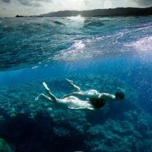 Still The Water Una Splendida Locandina Del Film 370979