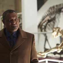 Hannibal: Laurence Fishburne nell'episodio Shiizakana, seconda stagione