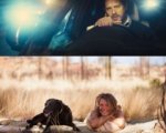 Locke, Tracks e gli altri film in uscita