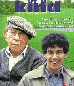 La locandina di Two of a Kind