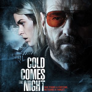 La locandina di Cold Comes the Night