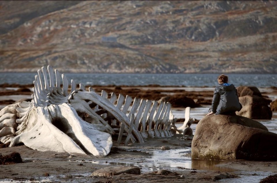 Leviathan: una suggestiva scena del film