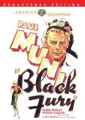 La locandina di Black fury