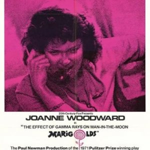 La locandina di Gli effetti dei raggi gamma sui fiori di Matilde