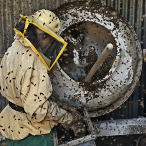 Le meraviglie: un'immagine tratta dal film