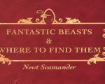 Fantastic Beasts and Where to Find Them: ecco la data di uscita