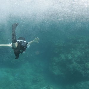 Still the Water: un'incantevole scena subacquea del film