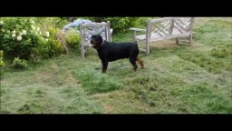 Trailer - And So It Goes