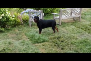 Trailer - And So It Goes