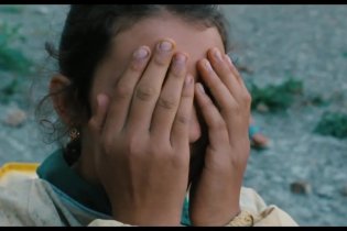 Clip 'Api' - Le meraviglie