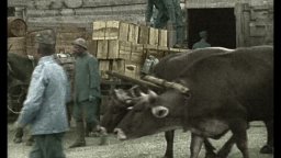 Promo - Fango e Gloria – La Grande Guerra