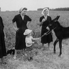 Resistenza naturale: una foto di repertorio tratta dal documentario naturalistico