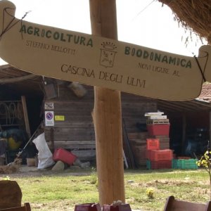 Resistenza naturale: una scena del documentario