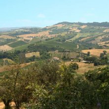 Resistenza naturale: un'immagine panoramica tratta dal documentario