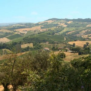 Resistenza naturale: un'immagine panoramica tratta dal documentario