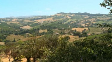 Resistenza naturale: un'immagine panoramica tratta dal documentario