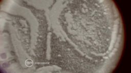 Trailer - The Last Ship - Look Closer