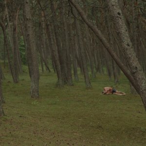 The Gambler: una scena del film