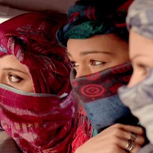 Fde Cola G Verdelli Gdangi