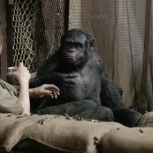 Apes Revolution - Il Pianeta delle Scimmie: una scena tratta dal film