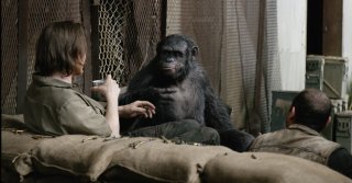 Apes Revolution - Il Pianeta delle Scimmie: una scena tratta dal film