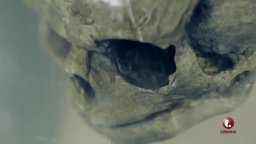 Trailer - Le streghe dell'East End - stagione 2 trailer 2