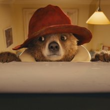 Paddington: una tenera immagine dell'orstetto Paddington