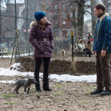 Chi è senza colpa: Tom Hardy e Noomi Rapace passeggiasno al parco