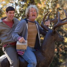 Scemo & + scemo 2: Jim Carrey e Jeff Daniels nella prima immagine ufficiale