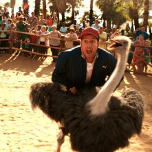 Insieme per forza: Adam Sandler alle prese con uno struzzo in una scena 