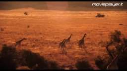 Video-recensione Insieme per forza