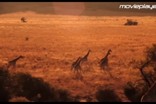 Video-recensione Insieme per forza