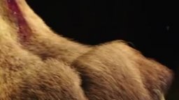 Motion Poster - Hercules - Il Guerriero