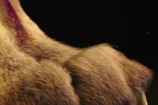 Motion Poster - Hercules - Il Guerriero