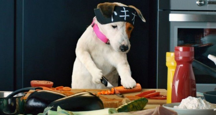 Pongo, il cane milionario (2014) Film Movieplayer.it