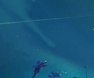 Una scena tratta dal film di animazione Mune