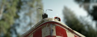 MINUSCULE - La valle delle formiche perdute: una scena del film animato