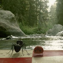MINUSCULE - La valle delle formiche perdute: una scena sul film animato incentrato su una lotta tra tribù di formiche