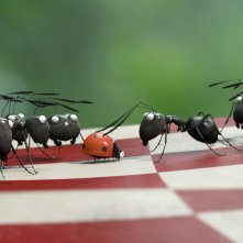 Formiche affamate e combattive in una scena di MINUSCULE - La valle delle formiche perdute