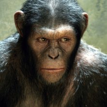 Andy Serkis nei 'panni' di Cesare in Apes Revolution - Il pianeta delle scimmie