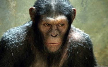 Andy Serkis nei 'panni' di Cesare in Apes Revolution - Il pianeta delle scimmie