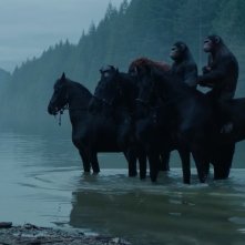 Scimmie a cavallo in Apes Revolution - Il pianeta delle scimmie