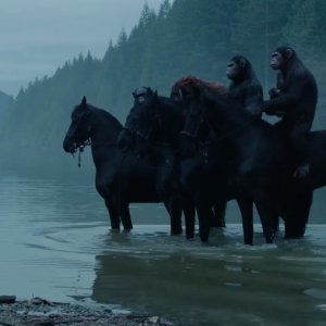 Scimmie a cavallo in Apes Revolution - Il pianeta delle scimmie