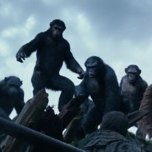 Un'immagine tratta dal fantascientifico Apes Revolution - Il pianeta delle scimmie